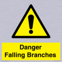 danger-falling-branches~